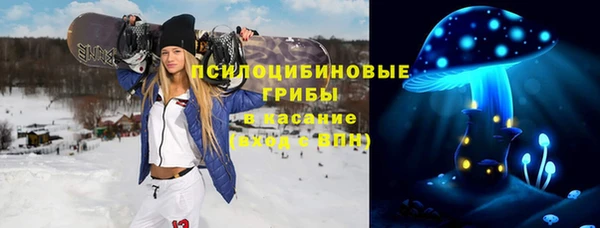амф Карпинск