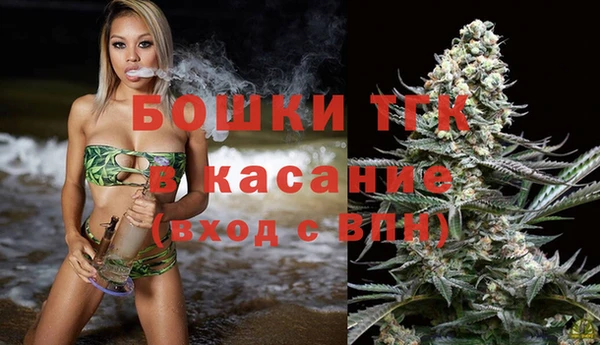 СК Аркадак