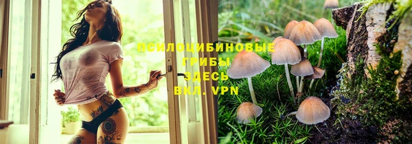 СК Аркадак