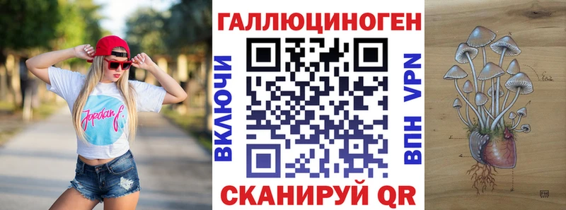 Псилоцибиновые грибы GOLDEN TEACHER  наркота  Ахтубинск 